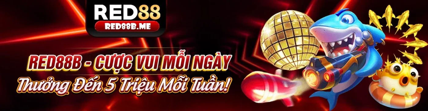 Đá gà trực tuyến kịch tính tại Nohu666